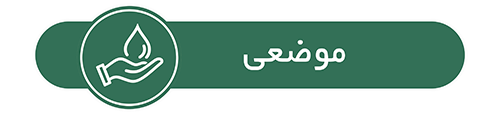موضعی